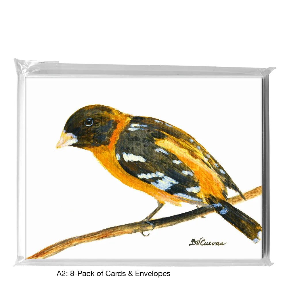 Blackheaded Grosbeak, Greeting Card (7647)