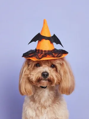 Dog Charming Witch Hat Halloween Costume