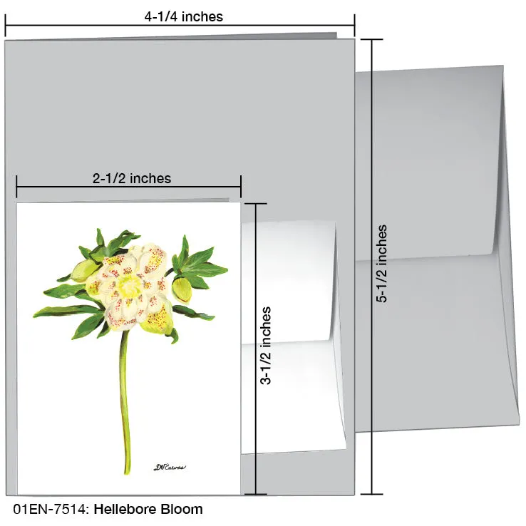 Hellebore Bloom, Greeting Card (7514)