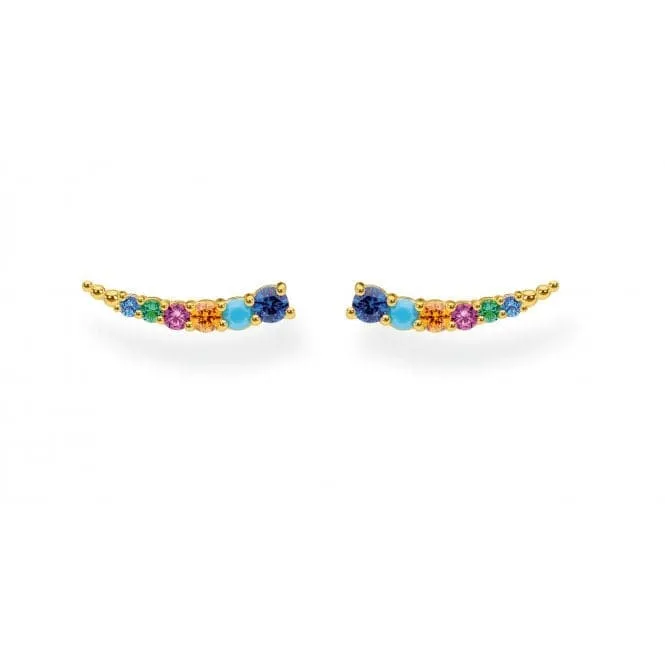 Multicoloured Ear Climbers H2158-488-7