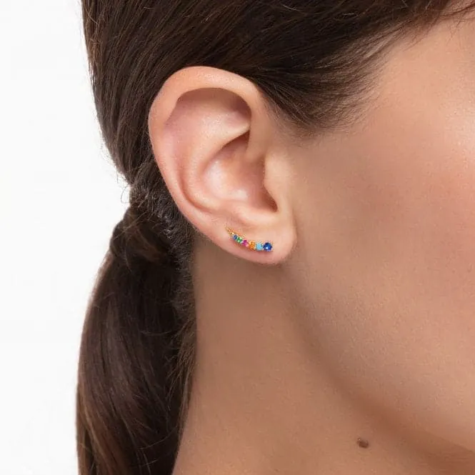 Multicoloured Ear Climbers H2158-488-7