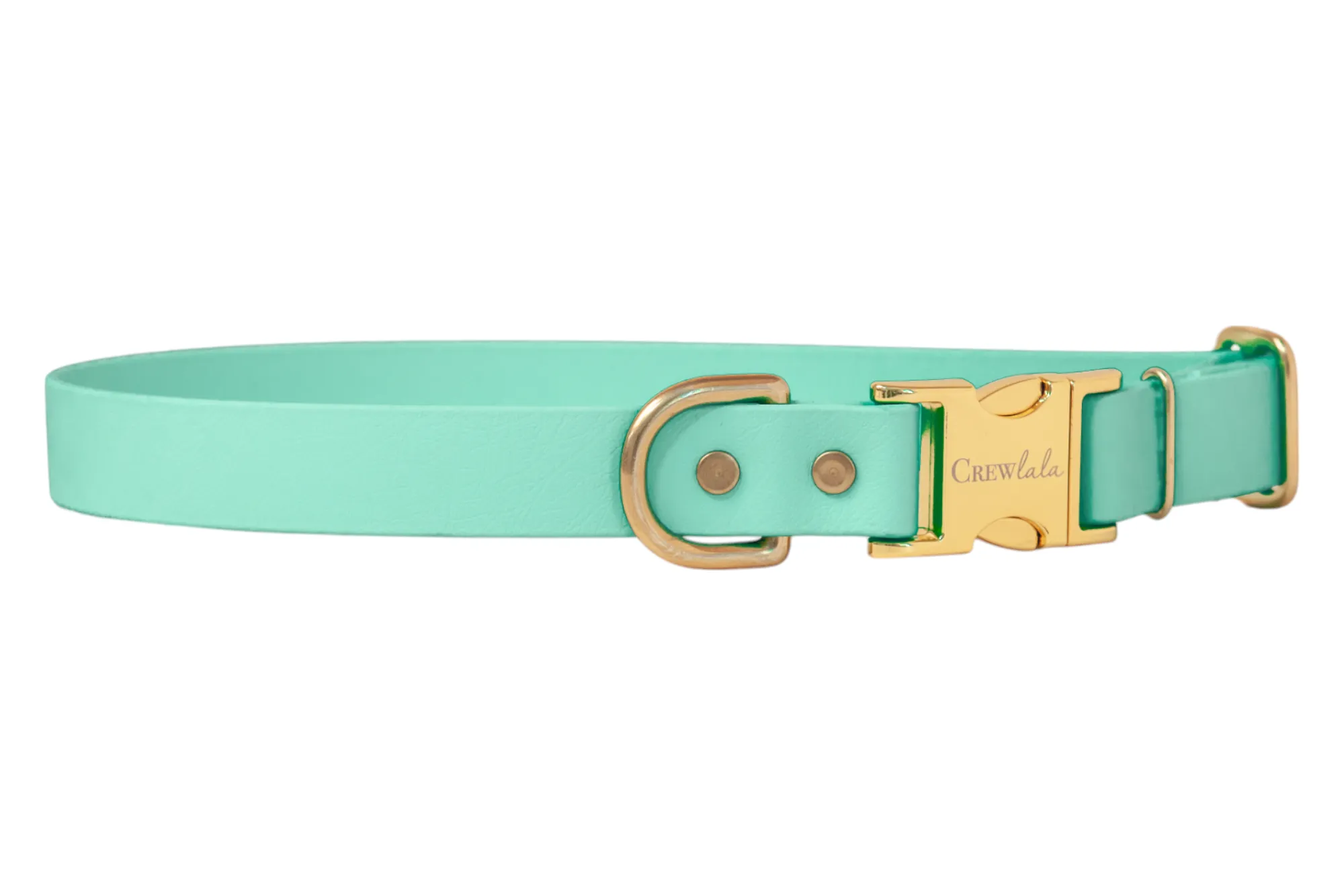 Seafoam Biothane Collar