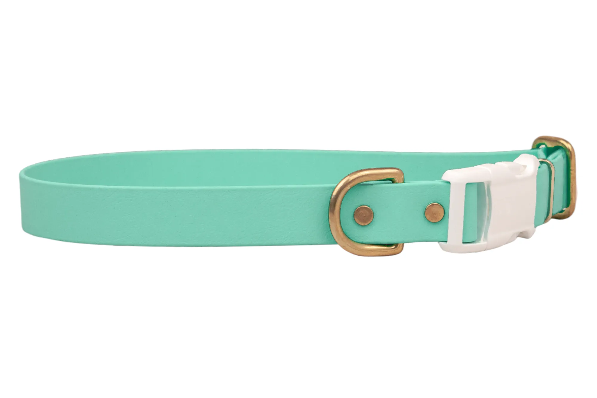 Seafoam Biothane Collar