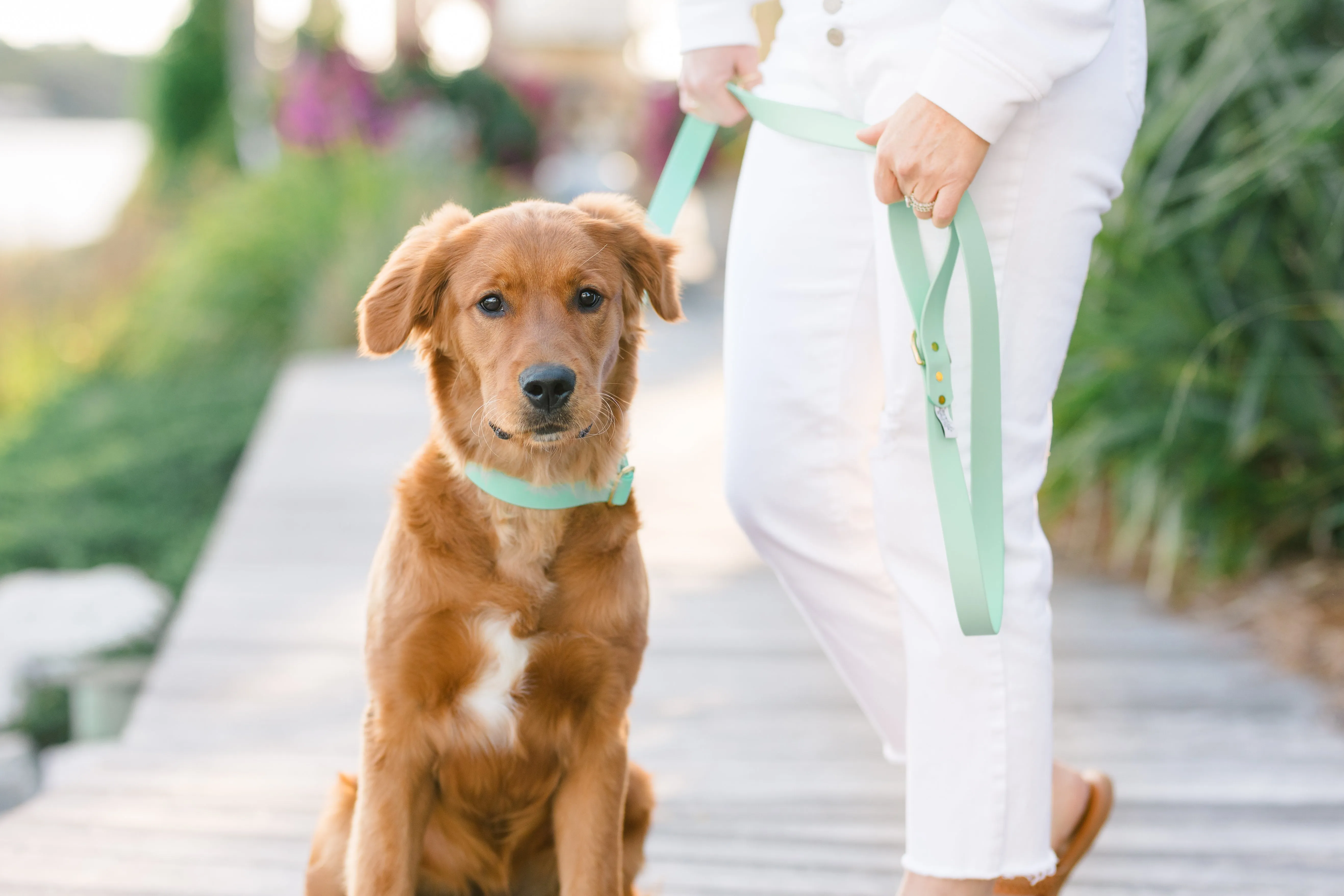 Seafoam Biothane Collar