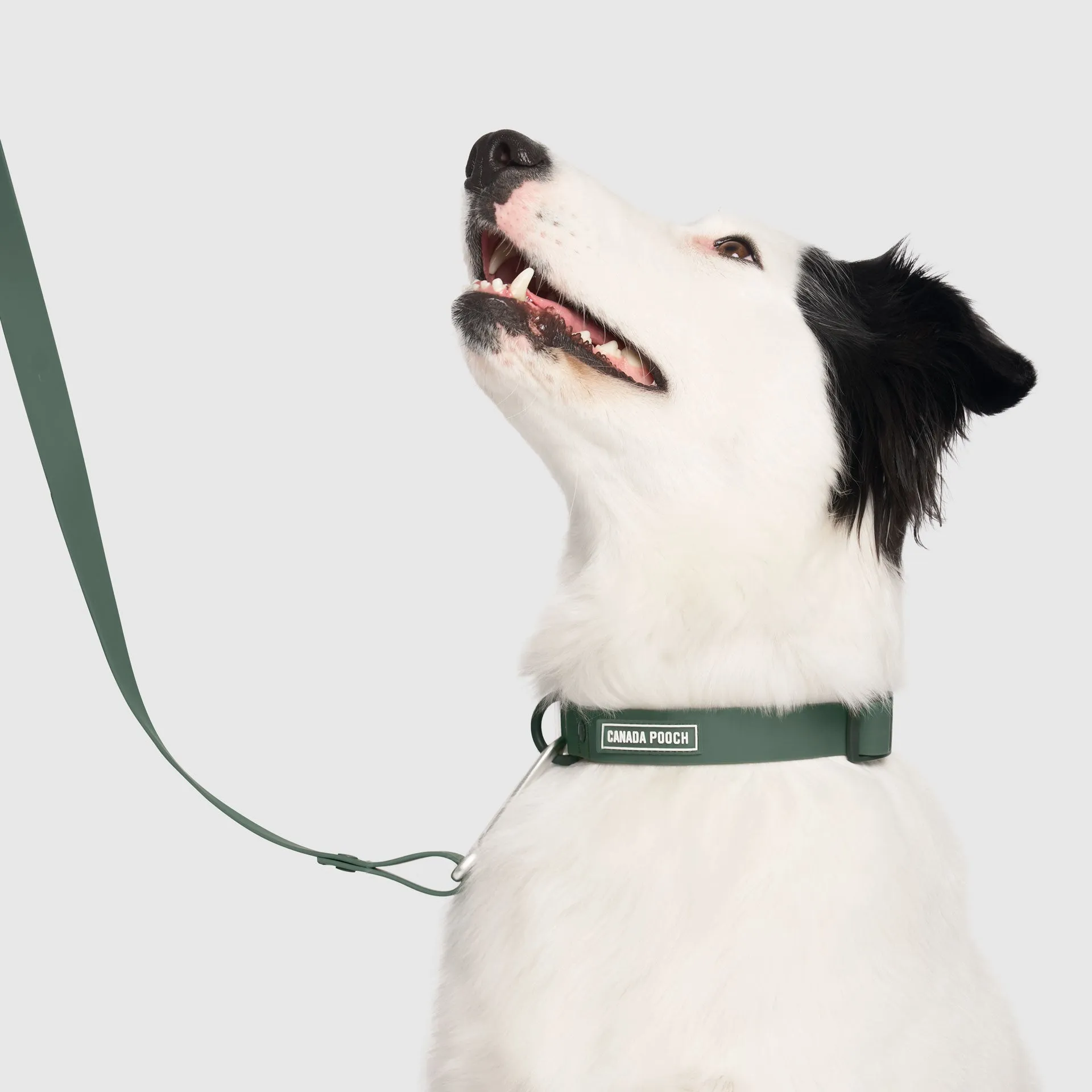 Waterproof Collar