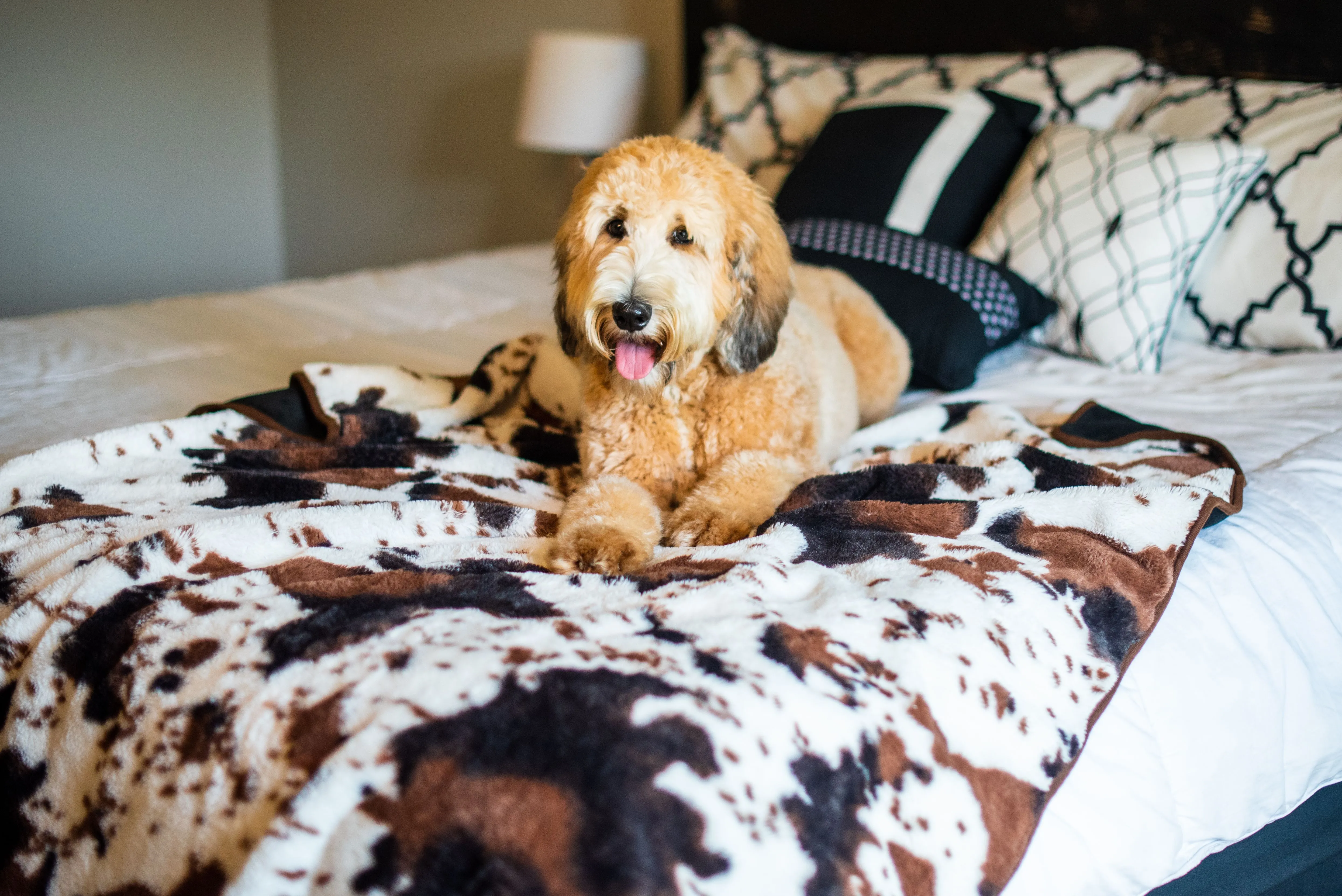 Waterproof Faux Fur Dog Blanket