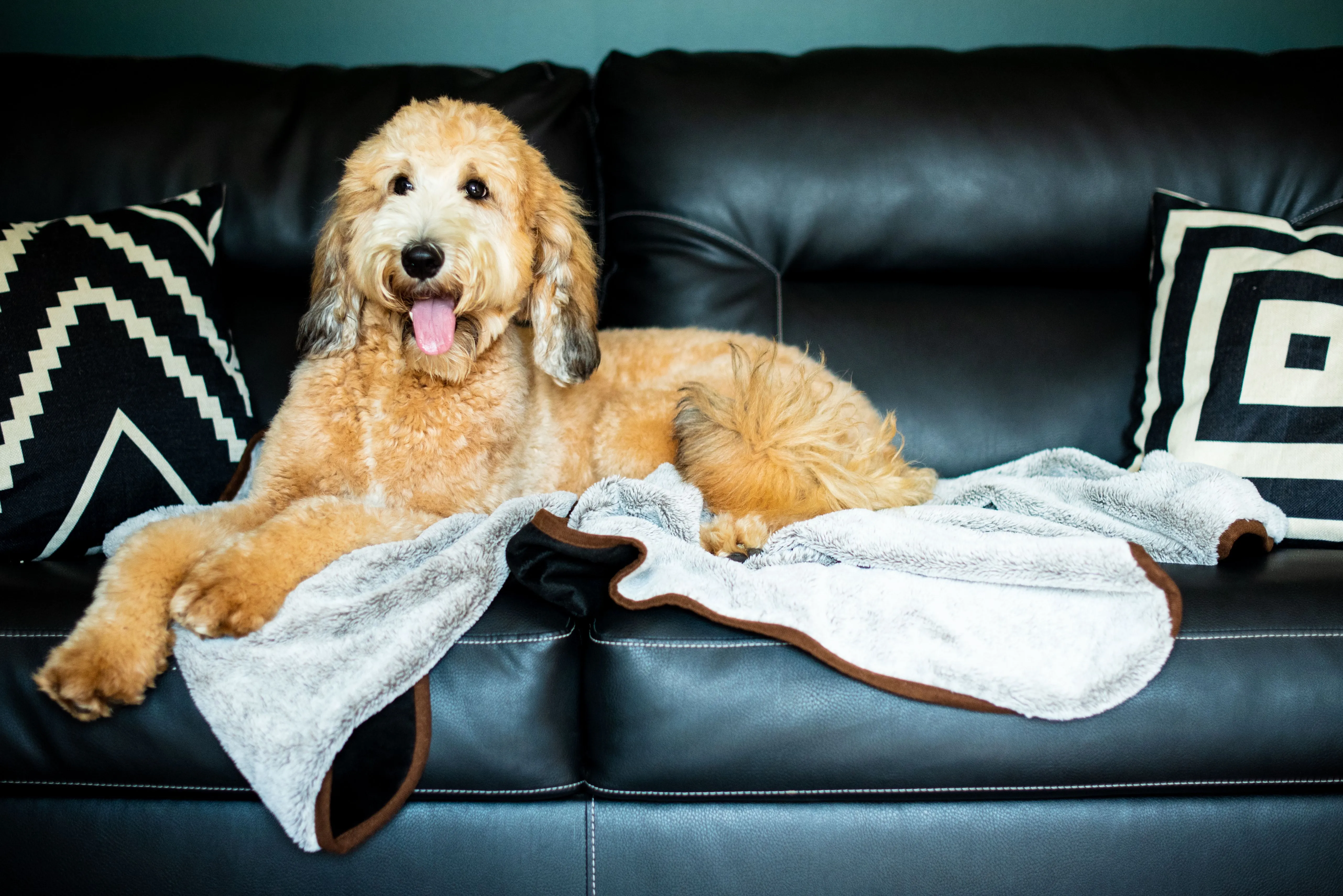 Waterproof Faux Fur Dog Blanket