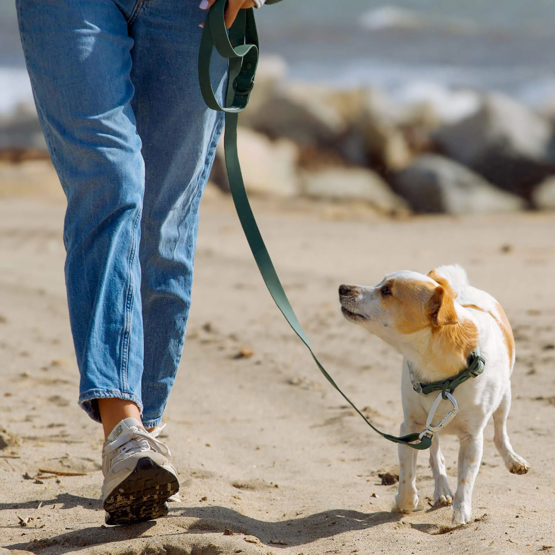 Waterproof Leash