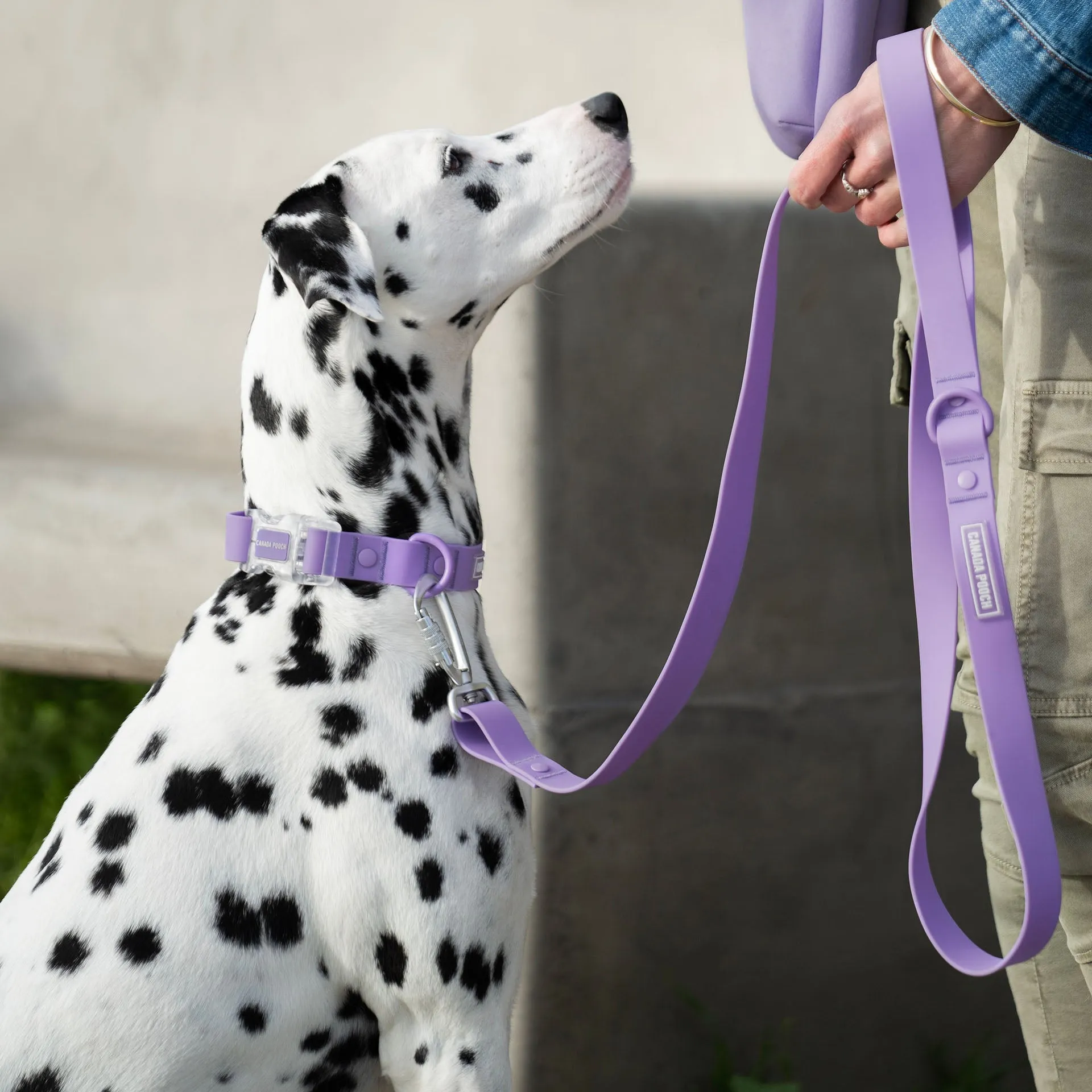 Waterproof Leash